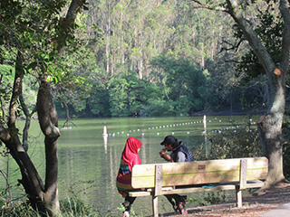 Tilden Park Picnic